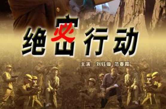 电视剧绝密行动，深度解析与观点阐述