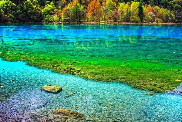 探索自然美景之旅，最新99热5地址，寻找内心宁静与平和的旅程