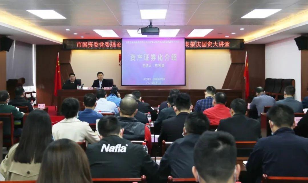 最新金融案例分析，深度解读与观点阐述