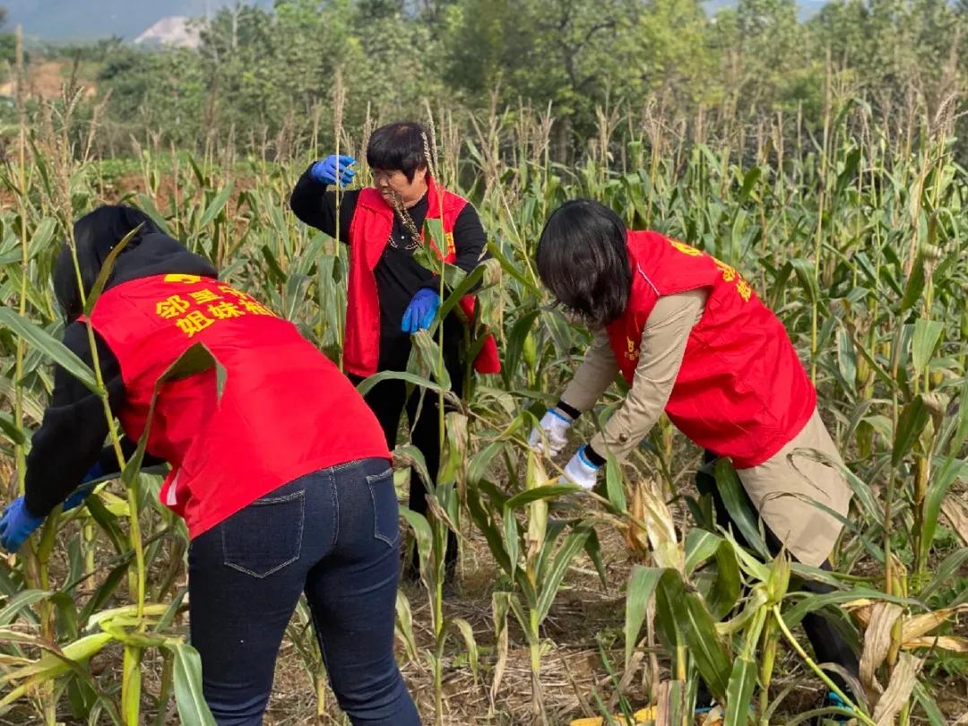 咸阳市人事任免新动态，变革激发自信与成就感，励志前行之路