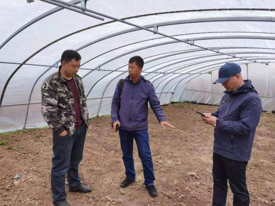 畅购卡最新动态，学习变化，拥抱自信与成就之路