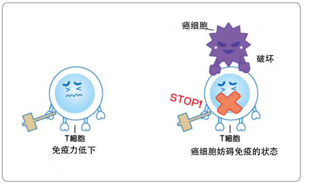 最新免疫疗法，奇妙之旅探索生命新篇章