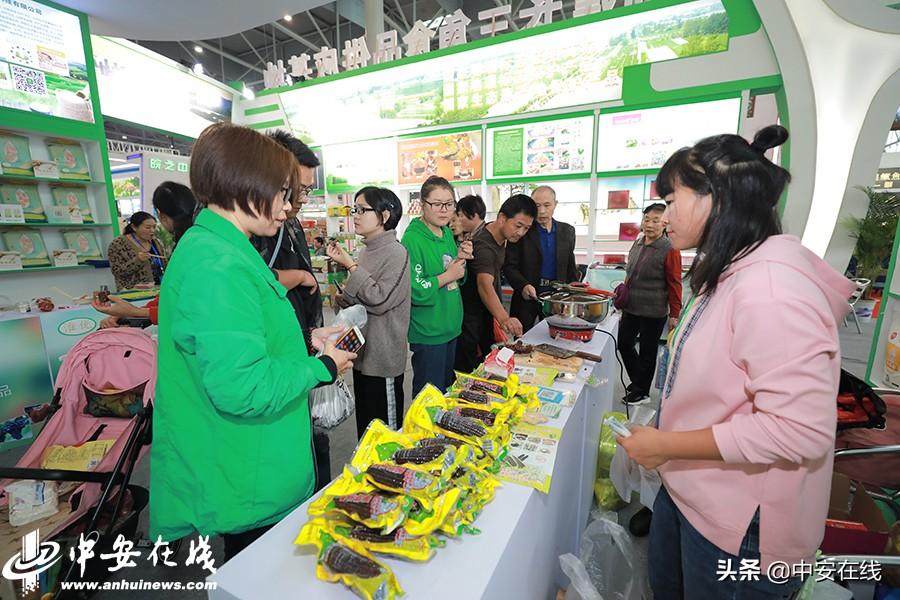 合肥最新厨师招聘攻略，一步步教你如何成功应聘厨师职位