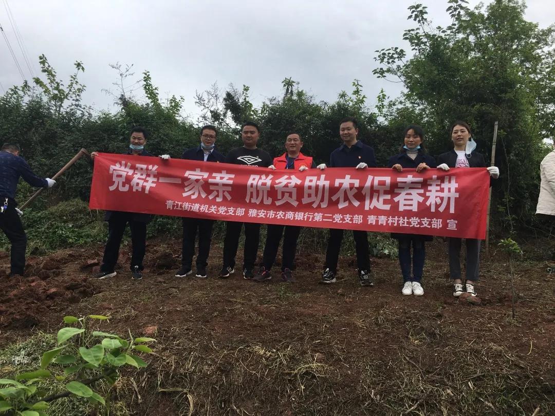 今日茄子价格行情解析，智能生活下的茄子价格科技新篇章