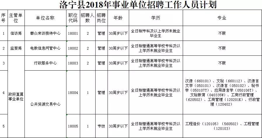 洛阳人才招聘最新信息概览，最新职位与招聘信息汇总