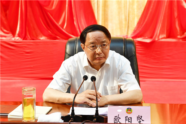 杨岳的最新消息及其相关论述概述