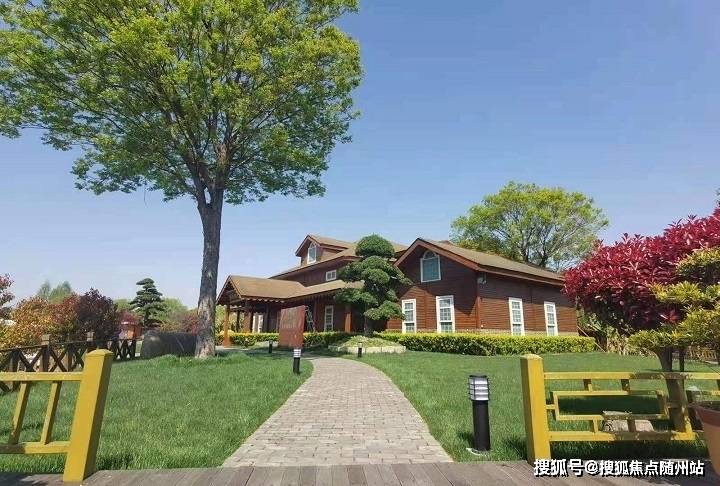 联金所最新动态，小巷中的隐藏瑰宝揭秘