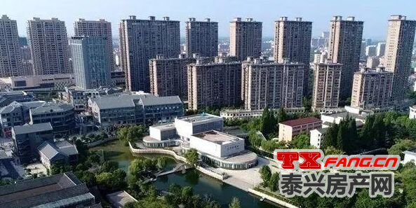 泰兴二手房市场最新动态，市场走势、热门区域及购房指南全解析
