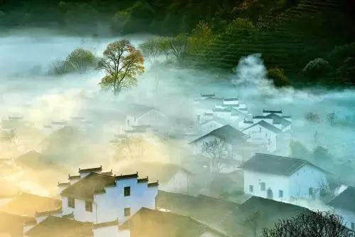 乡愁最新，科技与传统情感的完美融合新篇章
