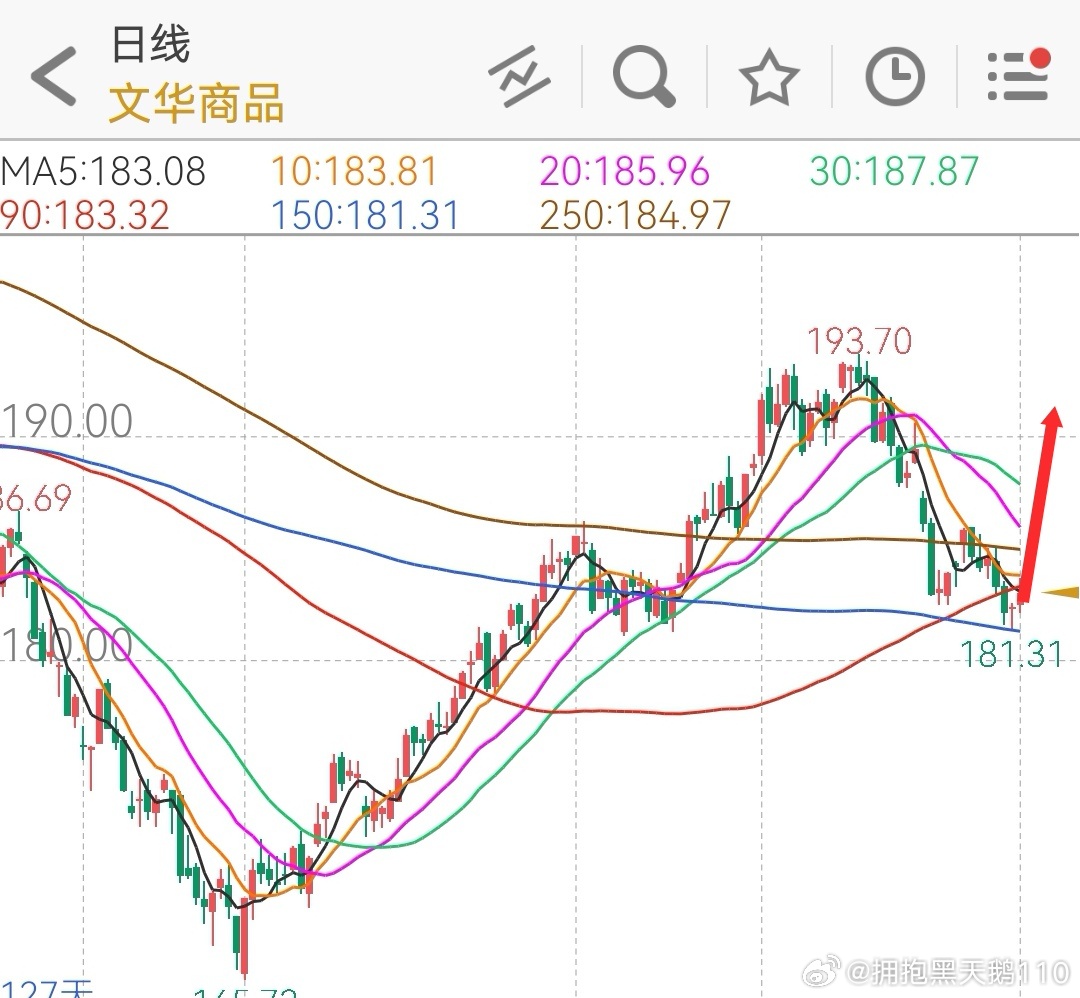 文华最新价深度解析与观点阐述