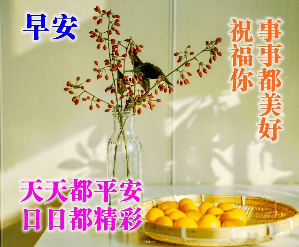 早安问候语与巷弄秘境中的特色小店探秘之旅